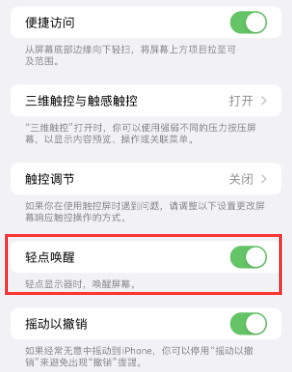 珠晖苹果授权维修站分享iPhone轻点无法唤醒怎么办