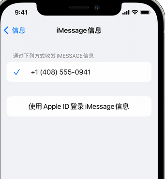 珠晖apple维修iPhone上无法正常发送iMessage信息 