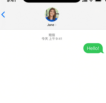 珠晖apple维修iPhone上无法正常发送iMessage信息