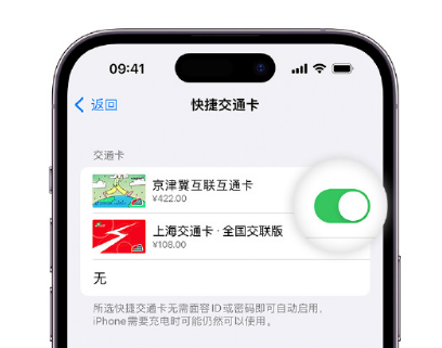 珠晖apple维修点分享iPhone上更换Apple Pay快捷交通卡手绘卡面 