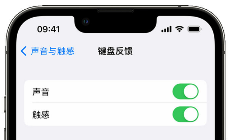 珠晖苹果手机维修分享iPhone 14触感键盘使用方法 