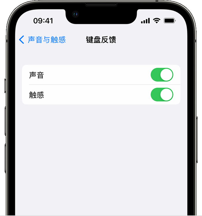 珠晖苹果14维修店分享如何在 iPhone 14 机型中使用触感键盘 