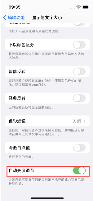 珠晖苹果15维修店分享iPhone 15 Pro系列屏幕亮度 