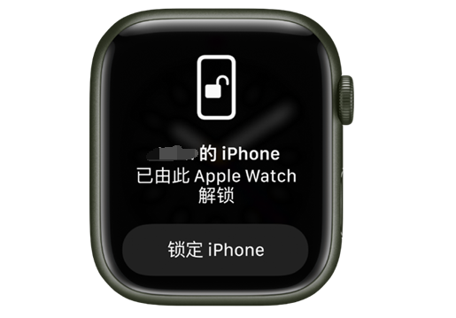 珠晖苹果手机维修分享用 AppleWatch 解锁配备面容 ID 的 iPhone方法 