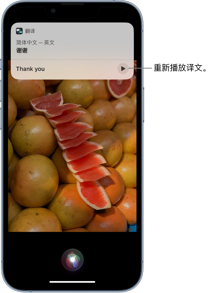 珠晖苹果14维修分享 iPhone 14 机型中使用 Siri：了解 Siri 能帮你做什么 