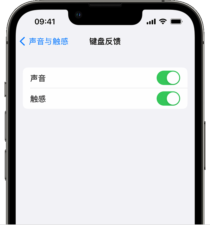 珠晖苹果14维修分享iPhone 14 系列机型如何开启键盘声音或触感反馈 