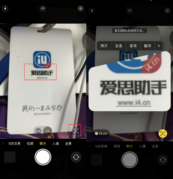珠晖苹果手机维修分享升级iOS 16后如何通过相机翻译文本 