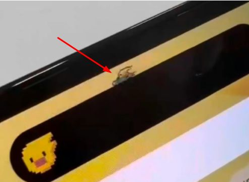 珠晖苹果14维修分享iPhone 14 Pro Max灵动岛怎么养宠物 
