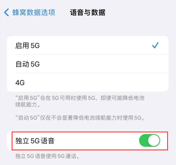 珠晖苹果14维修分享iPhone 14 Pro如何开启VoNR 