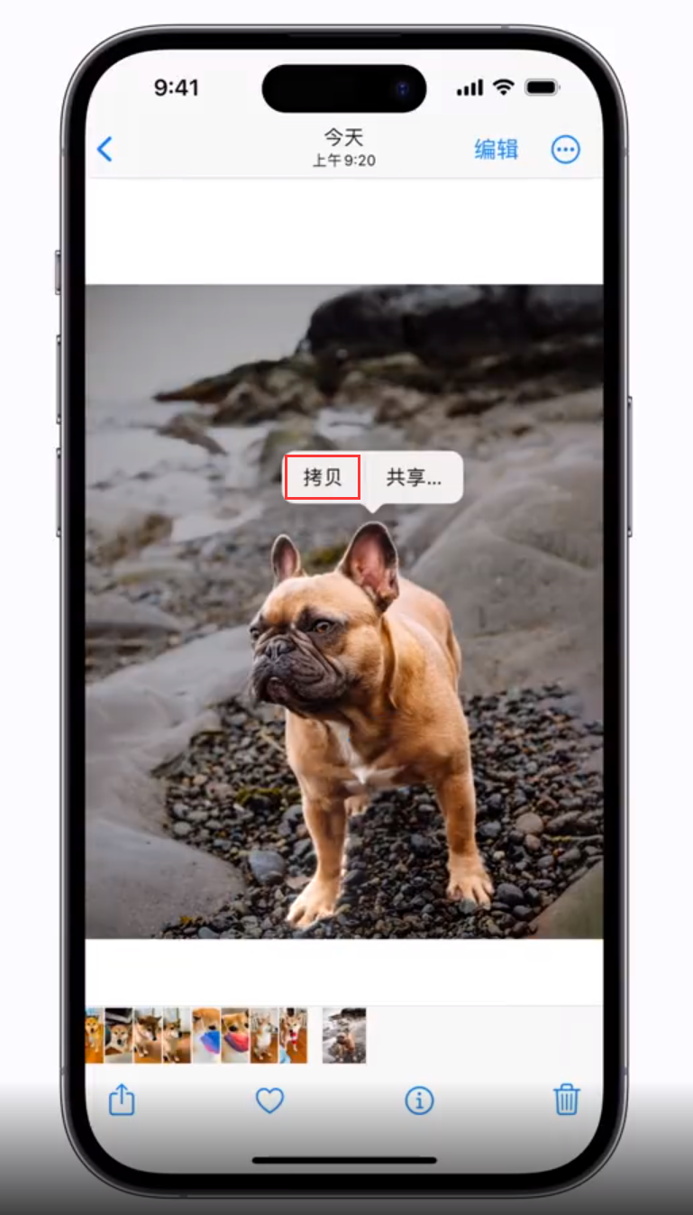 珠晖苹果手机维修分享 iOS 16 自带一键抠图功能 