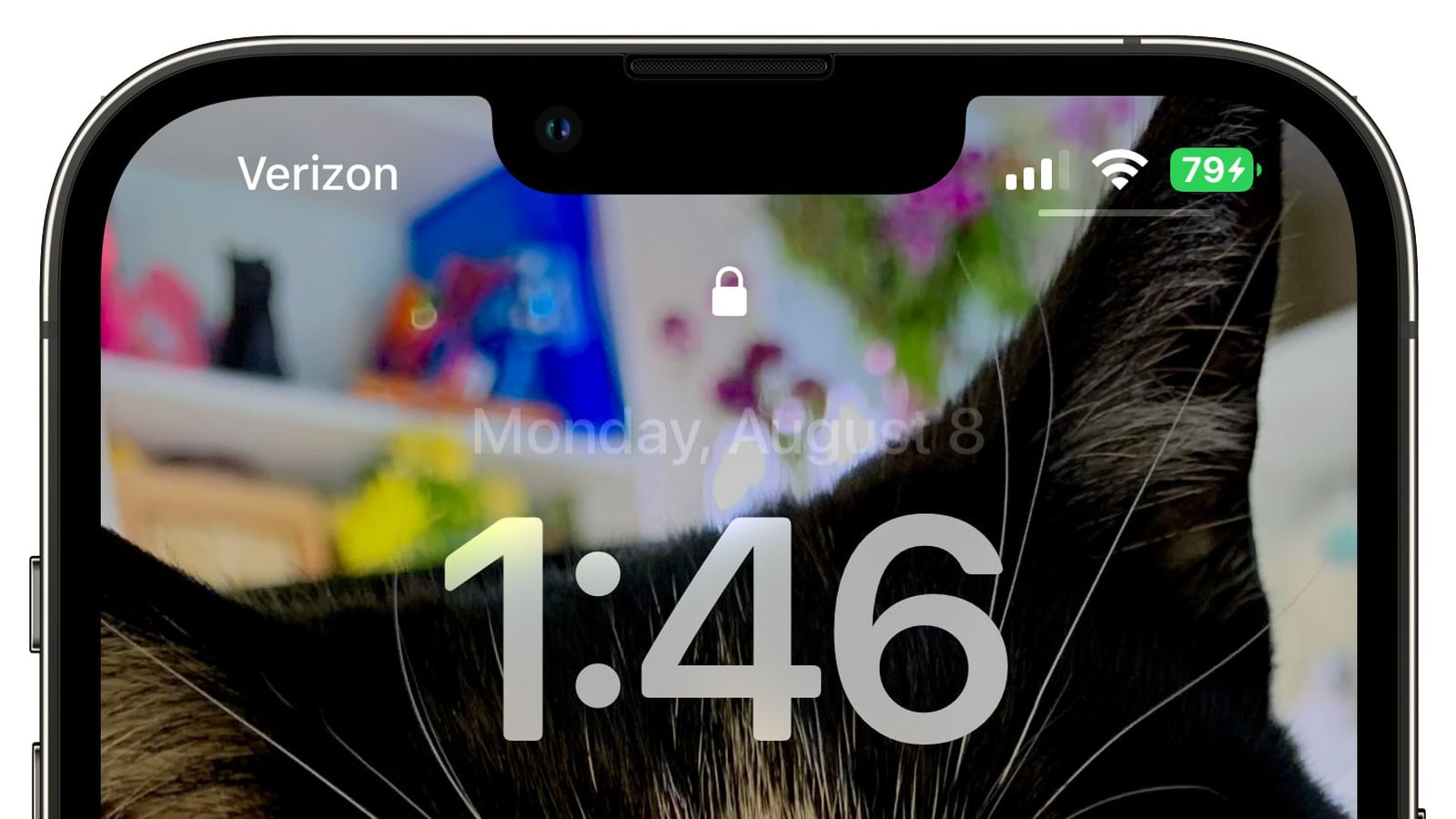 珠晖苹果手机维修分享iOS 16 beta 5 支持状态栏显示电池百分比，如何开启？支持哪些机型 