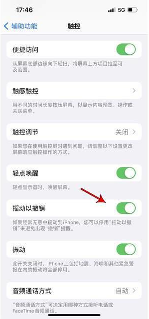 珠晖苹果手机维修分享iPhone手机如何设置摇一摇删除文字 