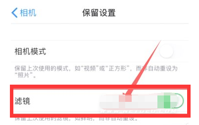 珠晖苹果13维修分享iPhone13拍照有绿点是怎么回事 