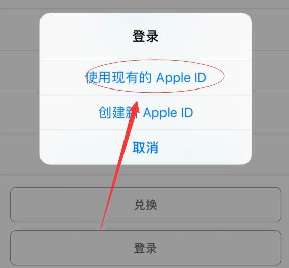 珠晖苹果手机维修分享两台iPhone设备可以同时登录一个Apple ID吗 