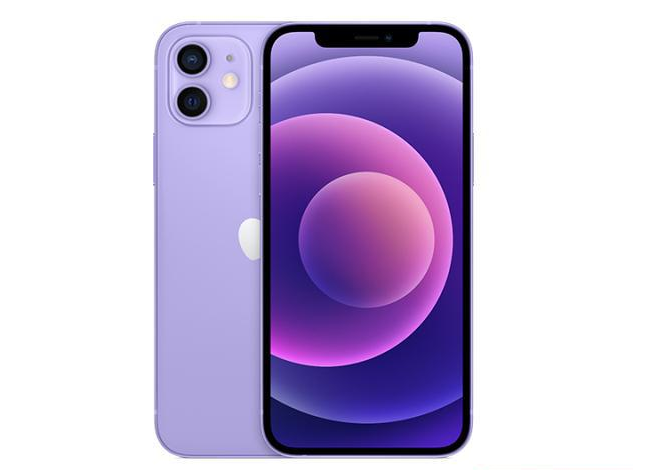 珠晖苹果手机维修分享现阶段要不要入手紫色版iPhone12 