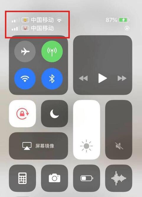 珠晖苹果手机维修分享为 iPhone 12 双卡设置标签 