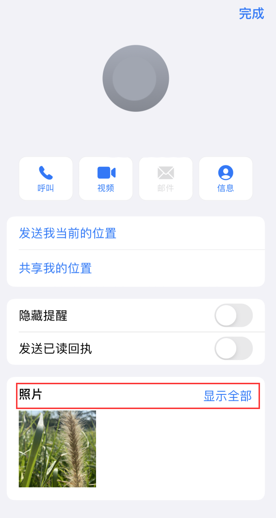 珠晖苹果手机维修分享如何快速查找 iMessage 信息中的图片等附件 