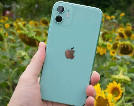珠晖苹果维修点分享iPhone 11锁屏密码认知与使用科普 
