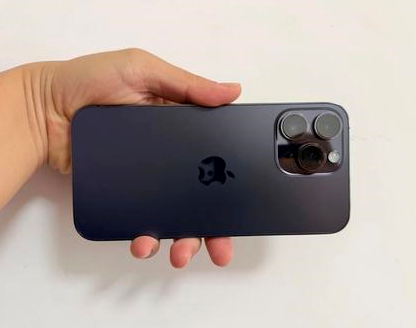 珠晖苹果维修点分享iPhone 14 Pro Max发烫多重诱因剖析 